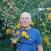 Владимир, 74, Тальменка