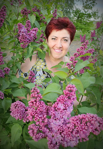 My photo - Valyushenka, 50 from Veliky Novgorod (@valentinamihaylovashishlova)