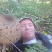 Андрей, 47, Оса