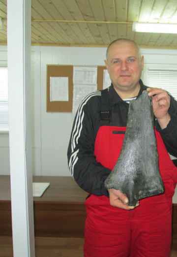 andrei1972 (@id623806) — my photo № 2