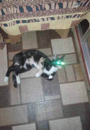 Vladimir (@swbratsk) — my photo № 4