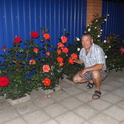 саша, 56, Думиничи