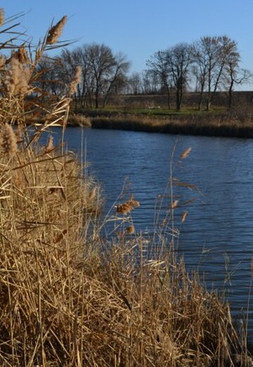 Aleks (@aleks6587716) — my photo № 8