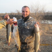alekc, 45, Архара