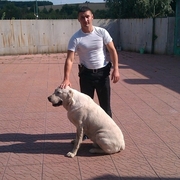 Алексей, 35, Боровск