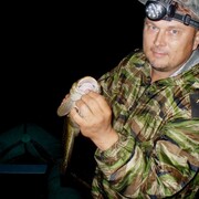 Михаил, 54, Новокузнецк