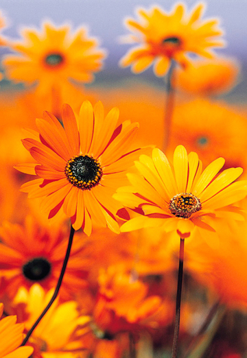 maxime (@maxime32) — my photo № 2