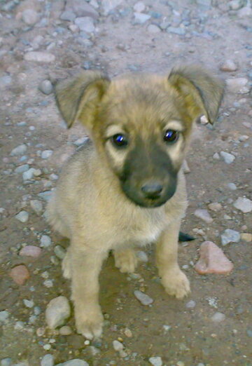 Kirill (@kirill13543) — my photo № 2