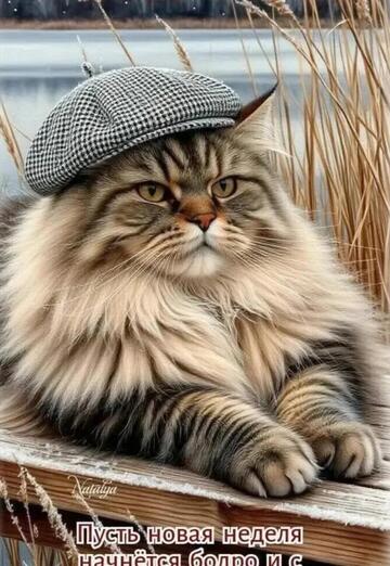 Bez imeni (@lusya3386) — my photo № 2