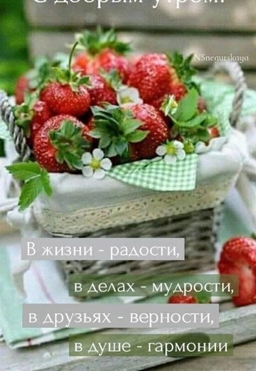Nadejda (@nadejda119615) — my photo № 4