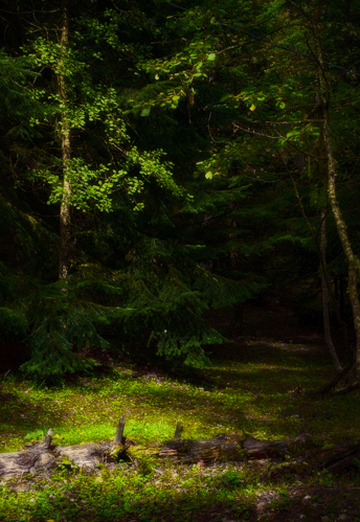 Konstantin (@konstantin010164) — my photo № 9