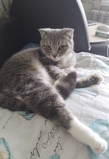 Darya (@darya66842) — my photo № 7