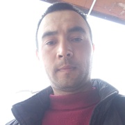 Shukurullo Haydarov, 26, Тарко (Тарко-сале)
