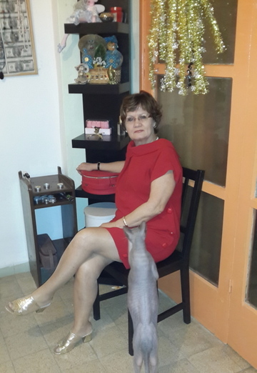 Моя фотография - Наталья, 68 из Тель-Авив-Яффа (@natalya175889)