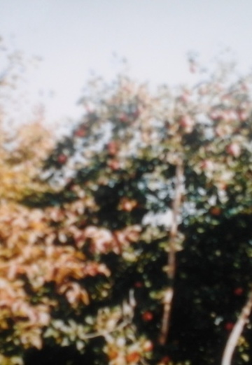 yura (@ura38585) — my photo № 7