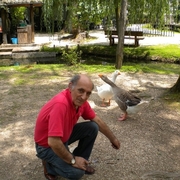 giorgio, 73, Александровская