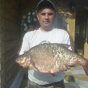 АЛЕКСЕЙ, 49, Сланцы