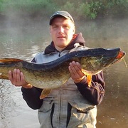 Дмитрий, 41, Горбатовка