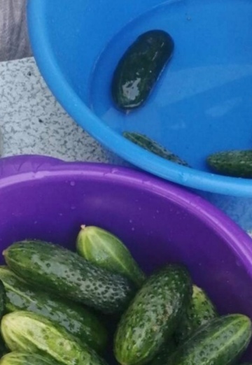 Yanessa (@yanessa31) — my photo № 14