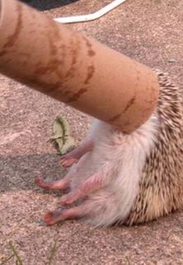 DIMKA (@lsd0808) — my photo № 10