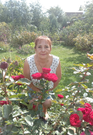 Моя фотография - Вера, 72 из Тольятти (@vera44867)