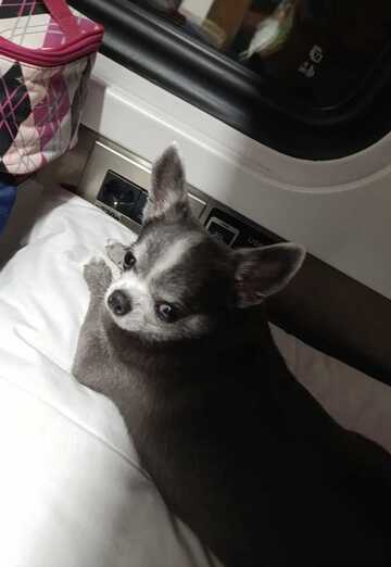 Igor (@igor389276) — my photo № 2