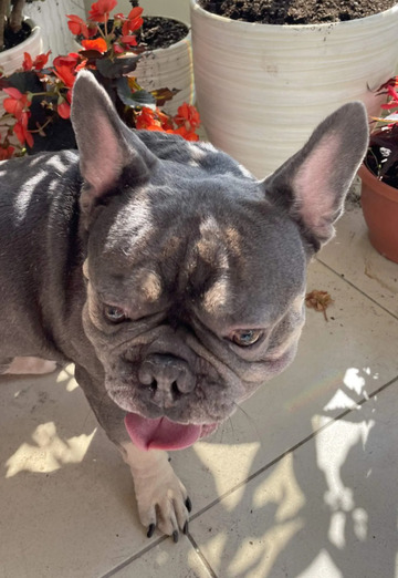 Roman (@zelenaya-krovlya) — my photo № 4