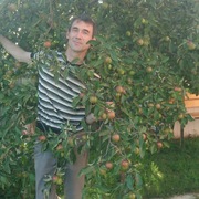 Андрей, 49, Богородицк