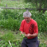 промит, 73, Малгобек