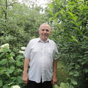 Анатолий, 82, Грайворон