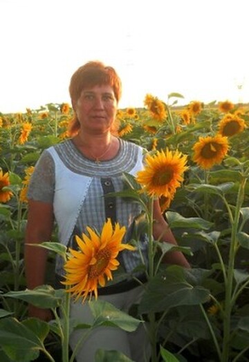 Моя фотография - Наталья Абросимова, 66 из Боровичи (@natalyaabrosimova)