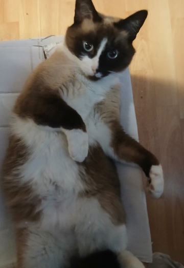 Darya (@darya87419) — my photo № 9