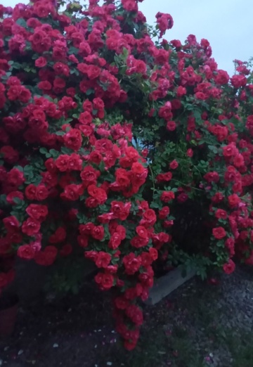 Nadejda (@nadejda95867) — my photo № 3